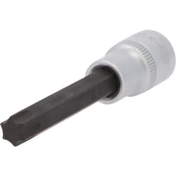 Bussola 1/2' Torx, media, T55