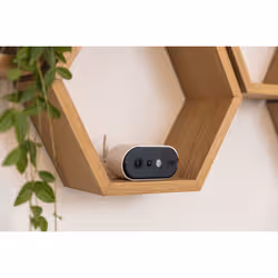 ABUS PPIC91000 telecamera di sorveglianza Telecamera di sicurezza IP Interno e esterno Soffitto/Parete/scrivania - Vista aggiuntiva 8
