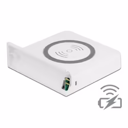 DeLOCK Caricabatterie wireless per 41450, Interno, USB, Carica wireless, Bianco