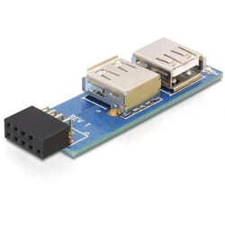 DeLOCK 9-pin 2.54 mm/2 x USB 2.0 1 x 9-pin 2.54 mm 2 x USB 2.0-A Nero, Blu, Argento