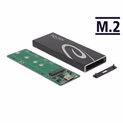 DeLOCK Custodia esterna per SSD PCIe NVME M.2 con USB Type-C femmina