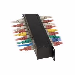 DeLOCK 43295 pezzo di pannello 1U
