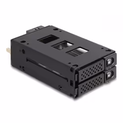 DeLOCK Bay rack mobile sottile per 2 x SSD da 2.5″ U.2 NVMe, 2x 2,5", Vassoio per unità di memorizzazione, Nero, SATA, U.2, M ...