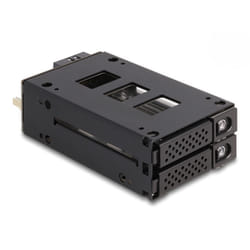 DeLOCK Bay rack mobile sottile per 2 x SSD da 2.5″ U.2 NVMe