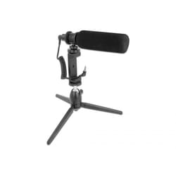 DeLOCK Set di microfoni Vlog Shotgun per Smartphone e fotocamere DSLR