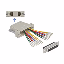 DeLOCK D-Sub HD a 44 pin femmina a crimpare per 2 x RJ45 femmina con kit di montaggio beige, D-Sub 44pin, 2x RJ-45, Beige