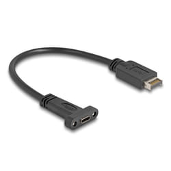 DeLOCK Cavo USB 10 Gbps USB Tipo-E Chiave A 20 pin maschio per USB Type-C femmina per montaggio a pannello da 25 cm