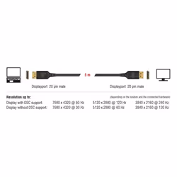 DeLOCK 85660 cavo DisplayPort 2 m Nero - Vista aggiuntiva 4