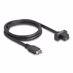 DeLOCK Cavo USB 10 Gbps Type-E chiave A 20 pin maschio per USB Type-C femmina a pannello da 70 cm, 0,7 m, 3.2 Gen 2 (3.1 Gen ...