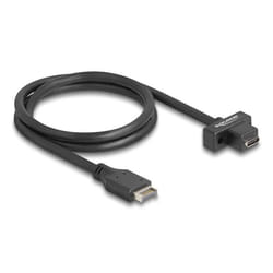 DeLOCK Cavo USB 10 Gbps Type-E chiave A 20 pin maschio per USB Type-C femmina a pannello da 70 cm