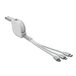 DeLOCK 85850 cavo USB USB 2.0 0,98 m USB A USB C/Micro-USB B/Lightning Argento, Bianco