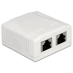 DeLOCK 86197 presa energia 2 x RJ-45 Bianco
