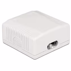 DeLOCK 86197 presa energia 2 x RJ-45 Bianco