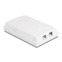 DeLOCK Scatola di connessione in fibra ottica per il montaggio a parete per 2 x SC Simplex o LC Duplex bianco