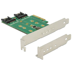 DeLOCK 89518 scheda di interfaccia e adattatore Interno M.2, SATA