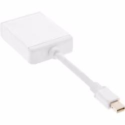InLine 4043718174447 adattatore per inversione del genere dei cavi DVI-D Mini DisplayPort Bianco