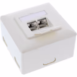 InLine Scatola prese Cat.6A, 2x RJ45 F, esterno o ad incasso, verticale, bianca