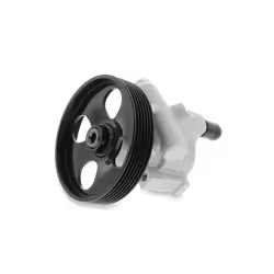Pompa Idroguida; HITACHI; idraulico; per VOLKSWAGEN, VW; PB4911041700, 2H0422154A, 7E0422154E