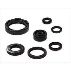 Set paraoli, motore ATHENA P400485400254