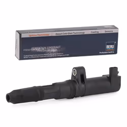 Bobina d'accensione; BERU; 2 12 Spark Spring 1 Tipo di raccordo SAE, con cappuccio candela accensione; per RENAULT, DACIA, NI ...