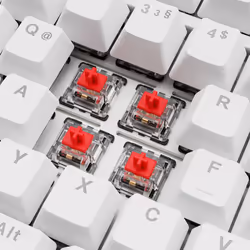 Sharkoon SGK25 tastiera Casa USB QWERTZ Tedesco Bianco - Vista aggiuntiva 3