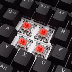 Sharkoon SGK25 tastiera Casa USB QWERTZ Tedesco Nero - Vista aggiuntiva 3