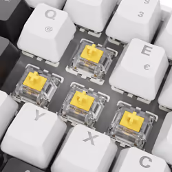 Sharkoon SGK50 S4 tastiera Casa USB QWERTZ Tedesco Bianco - Vista aggiuntiva 7
