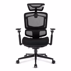 Sharkoon OfficePal C50 Seduta imbottita Schienale a rete - Vista aggiuntiva 2