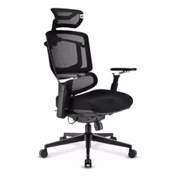 Sharkoon OfficePal C50 Seduta imbottita Schienale a rete - Vista aggiuntiva 3