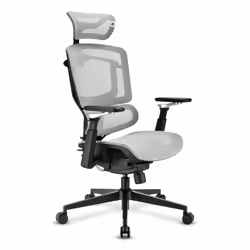 Sharkoon OfficePal C50M Seduta imbottita Schienale a rete - Vista aggiuntiva 2