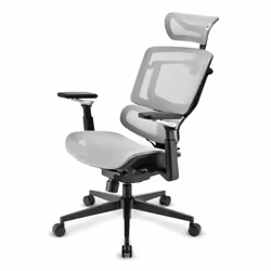 Sharkoon OfficePal C50M Seduta imbottita Schienale a rete - Vista aggiuntiva 4