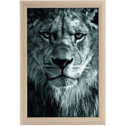 goldbuch Toscana, cornice portafoto in legno per foto in formato 20 x 30 cm, con supporto e supporto da parete, cornice singola in MDF, cornice per