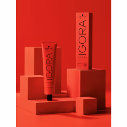 Schwarzkopf Igora Royal colore per capelli Marrone 60 ml
