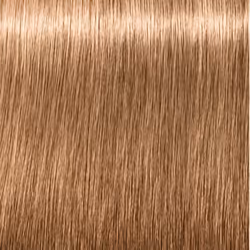 Igora Royal #8-4_60