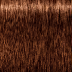 Igora Royal Absolutes #6-60