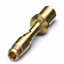 Phoenix Contact 1605631, Oro, 50 pz