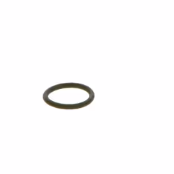 Anello in gomma BOSCH F 00R J01 452 - Vista aggiuntiva 5