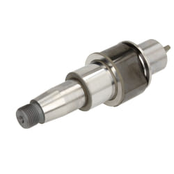 Elemento, pompa common rail BOSCH F 00N 202 666