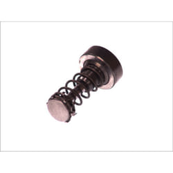 Pistone, pompa common rail BOSCH F 01M 101 355
