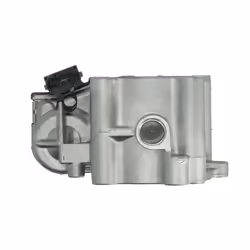 Corpo dell'acceleratore BOSCH 0 281 002 894