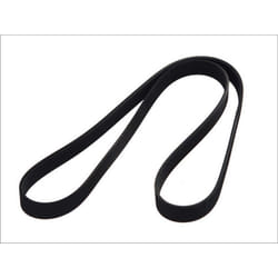 Cinghia Poly-V BOSCH 1 987 946 254