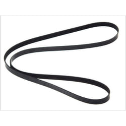 Cinghia Poly-V BOSCH 1 987 946 243