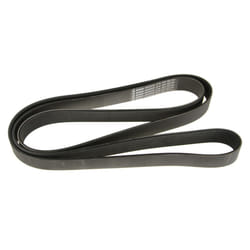 Cinghia Poly-V BOSCH 1 987 947 079