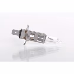 Lampada alogena BOSCH H1 Trucklight Maxlife 24V, 70W, 1 Pezzo - Vista aggiuntiva 4