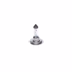 Lampada alogena BOSCH H7 Trucklight Maxlife 24V, 70W, 1 Pezzo - Vista aggiuntiva 7