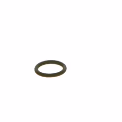 Anello in gomma BOSCH F 00R J01 605 - Vista aggiuntiva 2