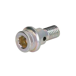 Vite BOSCH F 002 D12 516
