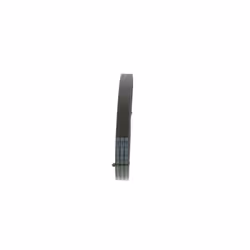 Cinghia Poly-V BOSCH PASKI 1 987 945 730 - Vista aggiuntiva 4