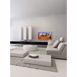 Hama 118056 165,1 cm (65") Nero - Vista aggiuntiva 2
