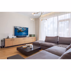 Hama Basic antenna televisiva Interno